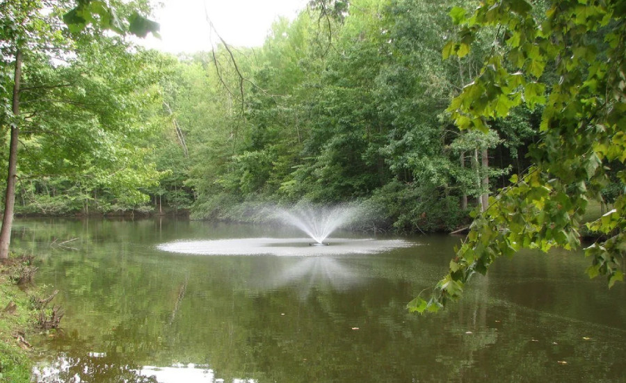 Small Ponds to Large Lakes: The Versatility of Floating Fountains